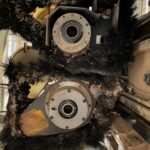 WhatsApp Image 2025-06-10 at 17.21.33 (9)