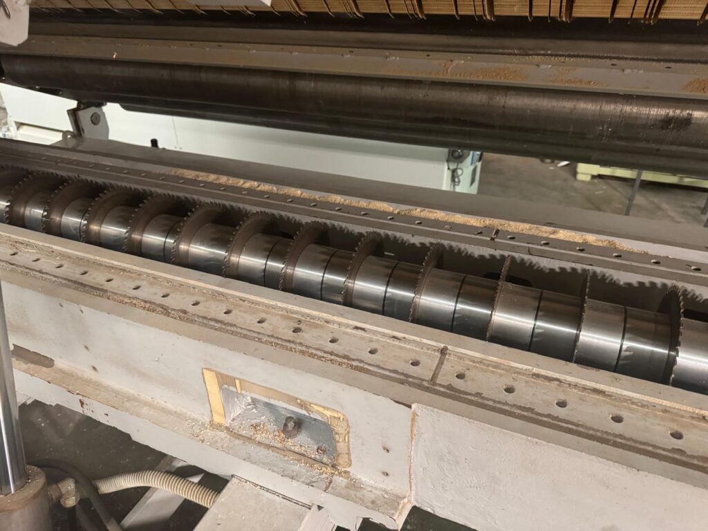 WhatsApp Image 2025-07-08 at 17.07.35 (5)