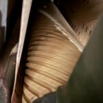 WhatsApp Image 2025-10-16 at 12.46.59 (2)