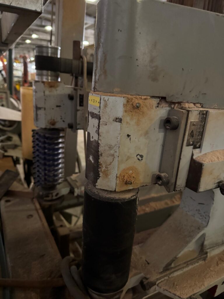 WhatsApp Image 2025-10-16 at 14.41.40 (4)