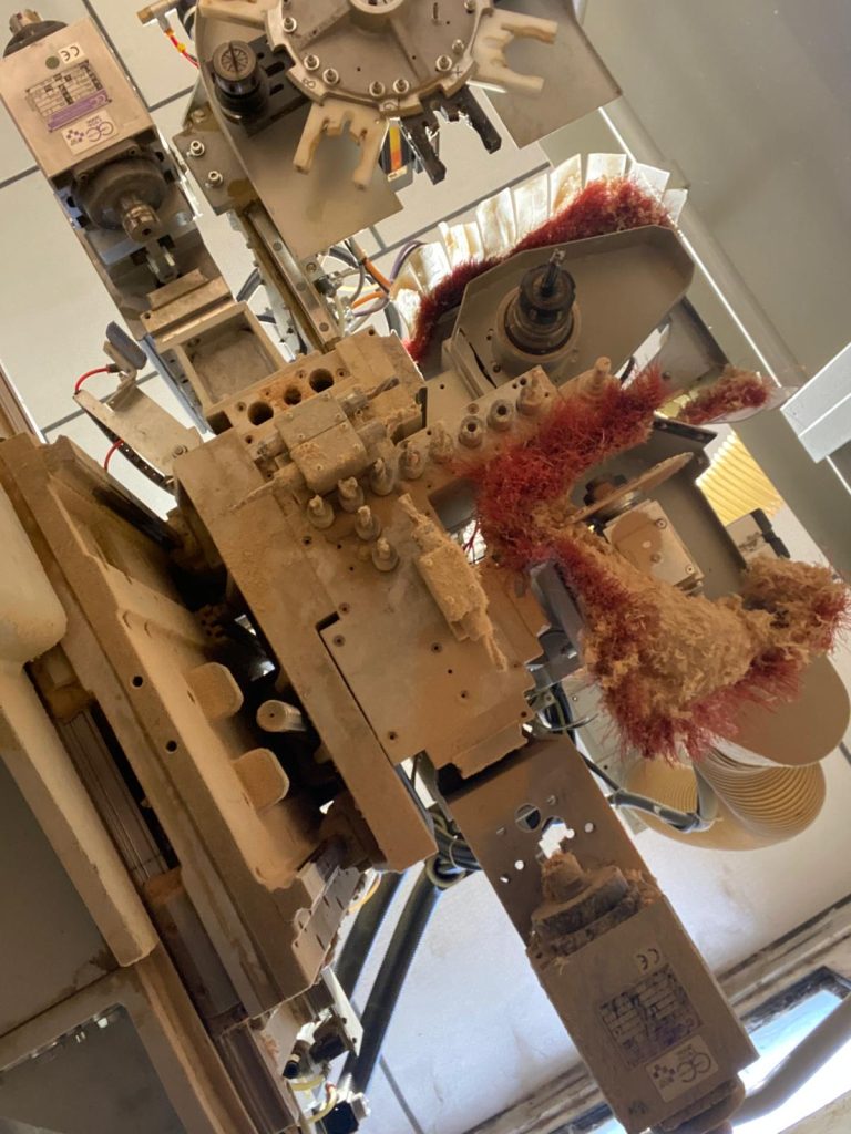 WhatsApp Image 2025-04-27 at 21.53.20